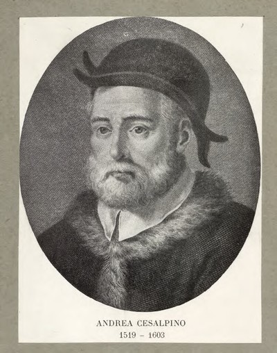 Andrea Cesalpino