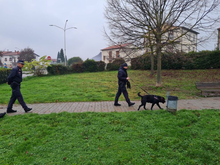 Bocconi avvelenati, Carabinieri Forestali e unità cinofile in azione alla Marchionna