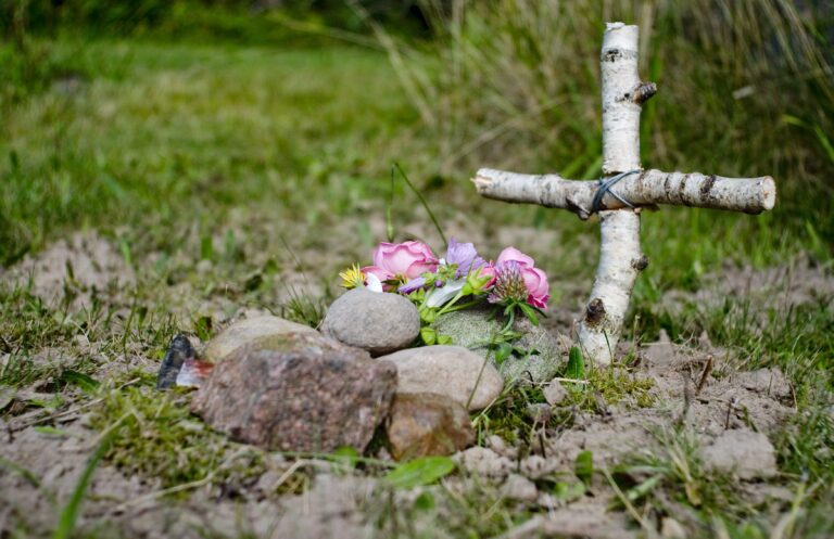 Cimitero per gli animali da affezione: la giunta delibera la sua realizzazione