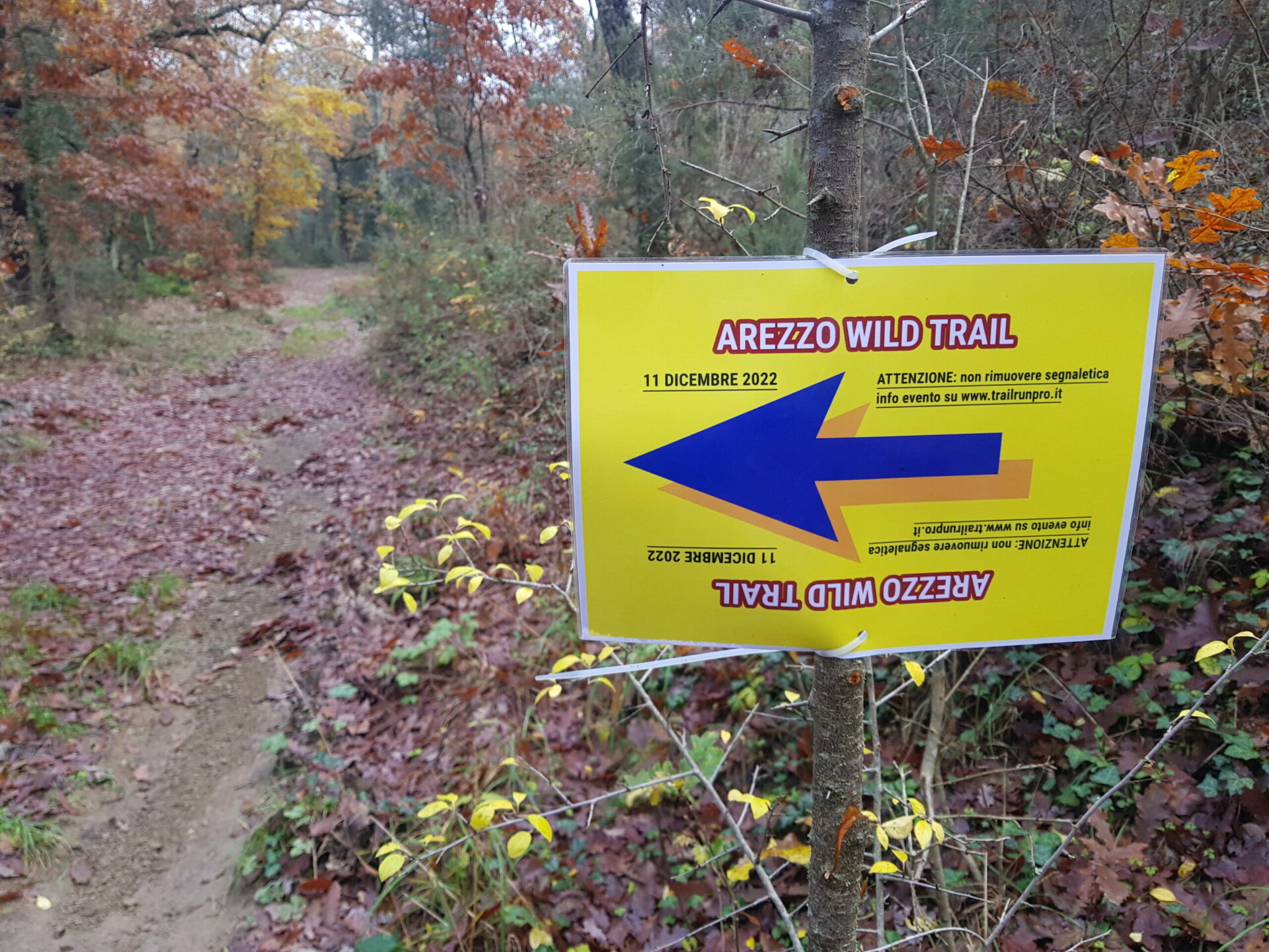 Trail