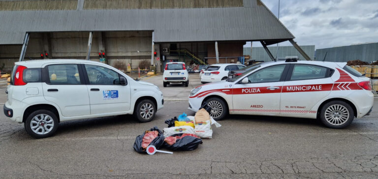 Sorpreso a vendere carcasse di capretto senza alcun documento in regola