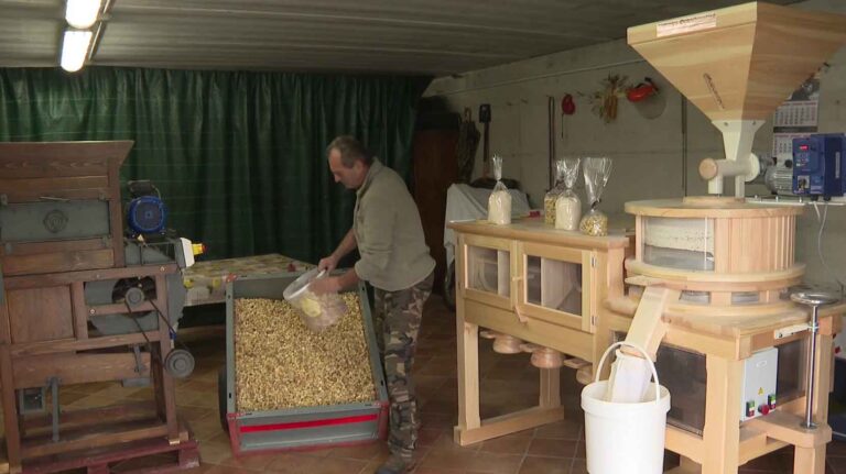 Farina di castagne: un rimedio per combattere il freddo