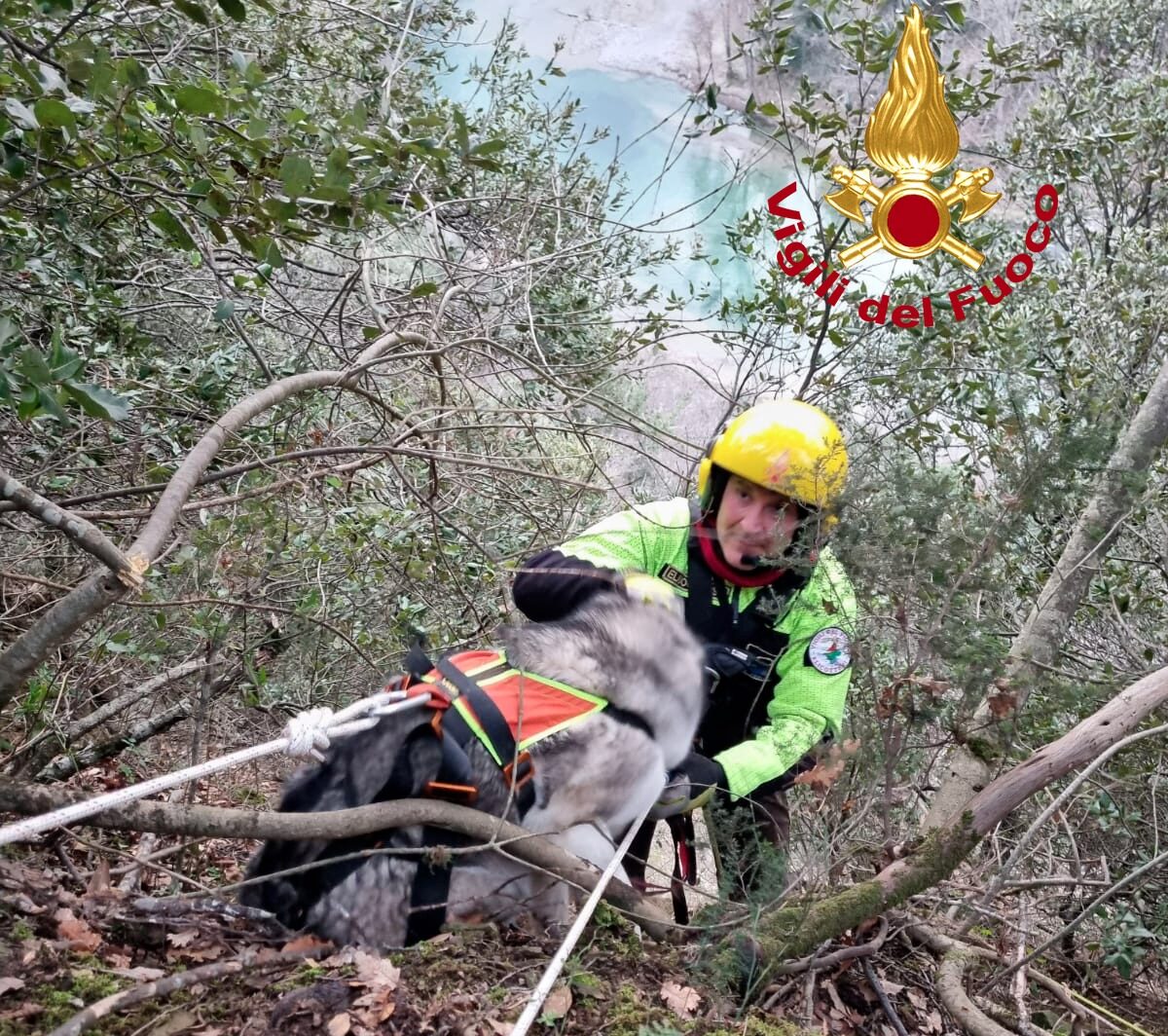 Intervento vigili del fuoco