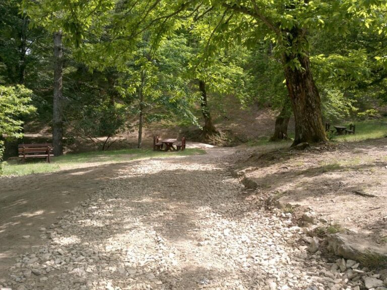 Casentino: circa 800 mila euro investiti in un anno per migliorare il transito in montagna
