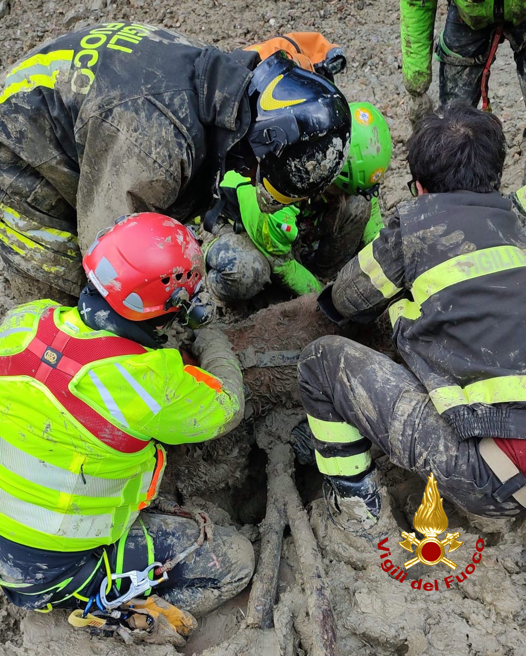 Vigili del fuoco