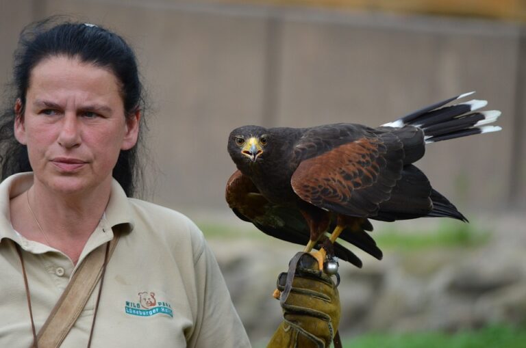 A Rigutino il IX Trofeo Nazionale Enalcaccia per cani da falconeria