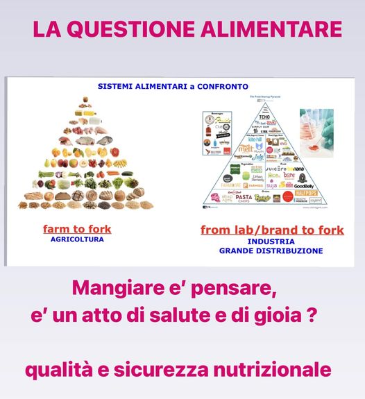 La questione alimentare. Il supermercato e la farmacia