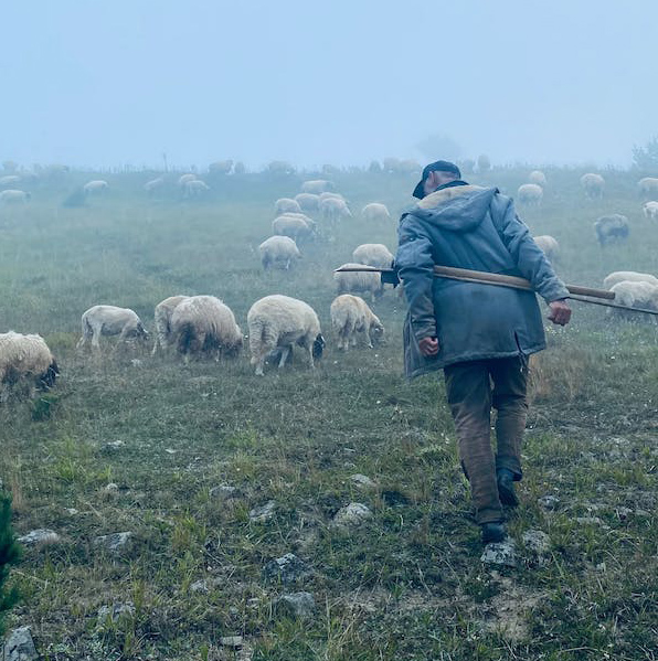 “Scuola di pastorizia” per sei posti 168 richieste