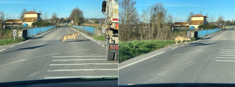 Via dell’Infernaccio