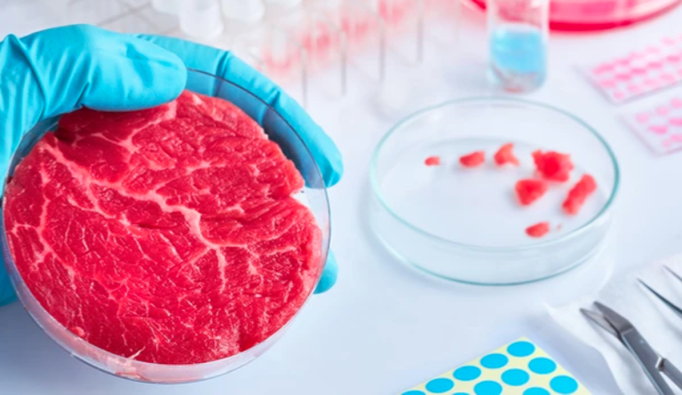Riflessioni e confronto scientifico su carne coltivata in laboratorio