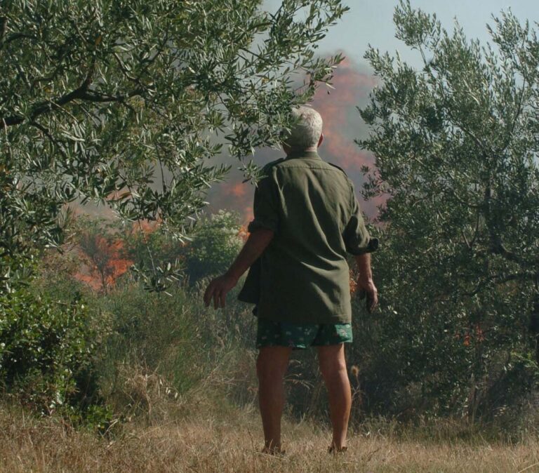 Scatta il divieto di abbruciamento di residui vegetali agricoli e forestali