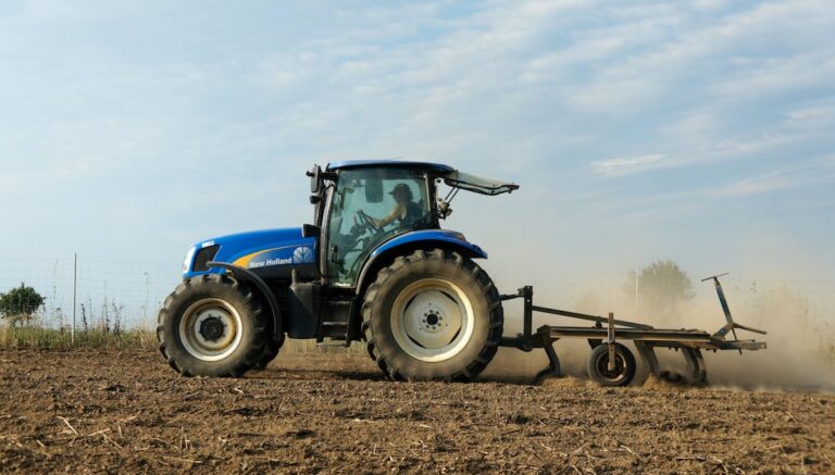 Confagricoltura Arezzo, non si trova manodopera agricola: a rischio i raccolti