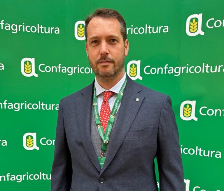 Confagricoltura Arezzo: buona la produzione di cereali, ma i prezzi deludono
