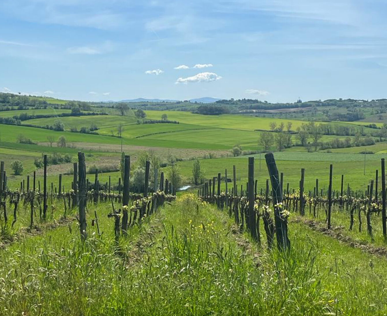 intothelandscape
