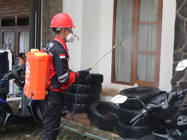 Montevarchi: sospetto caso di virus Dengue, parte la disinfestazione