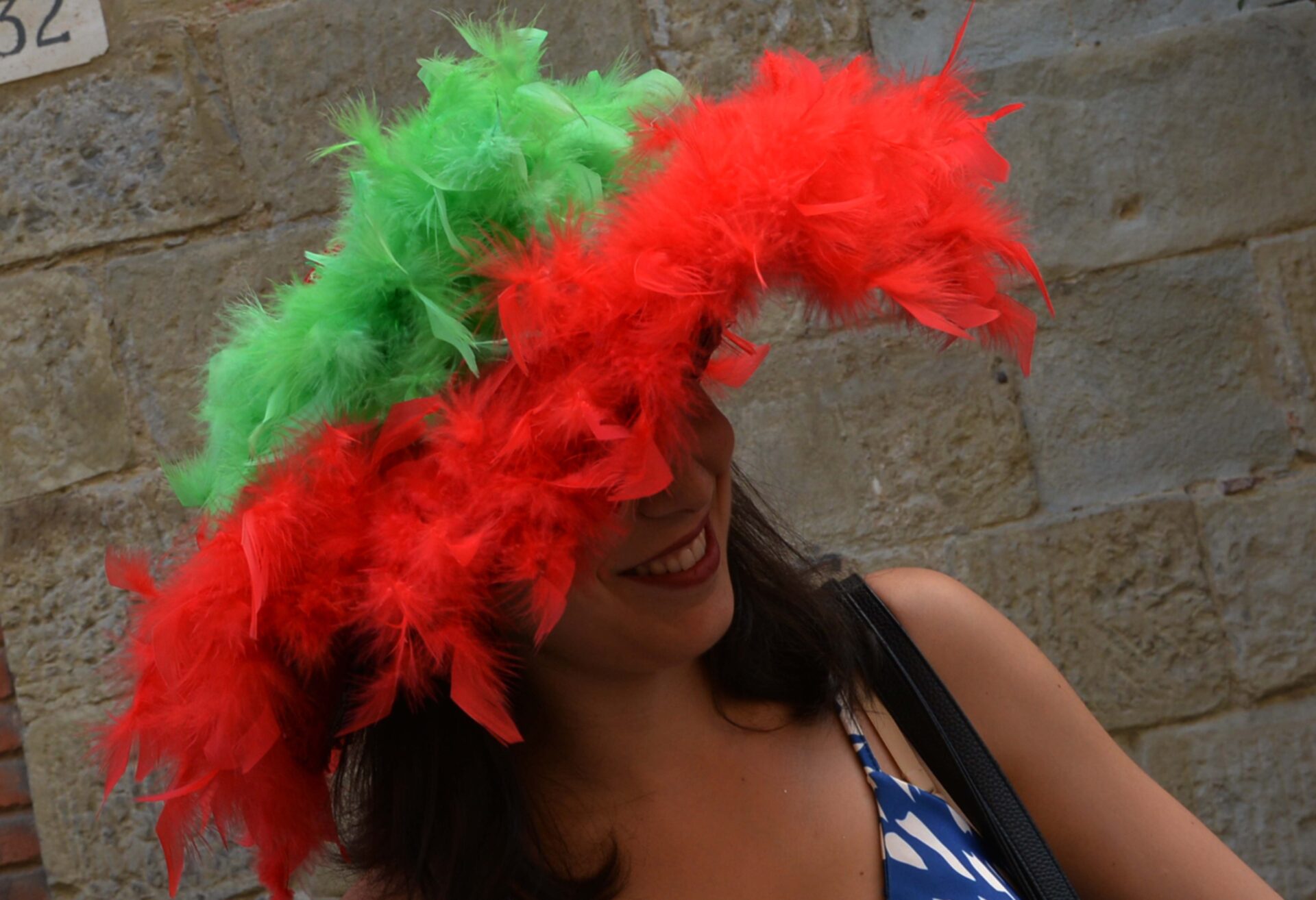 I colori della Giostra (1)
