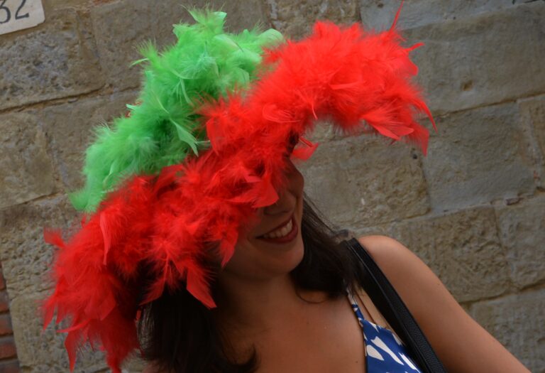 I colori della Giostra