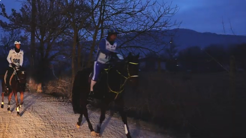 Endurance-Equestrian Center