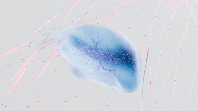 Cervello intestino e la qualità del cibo