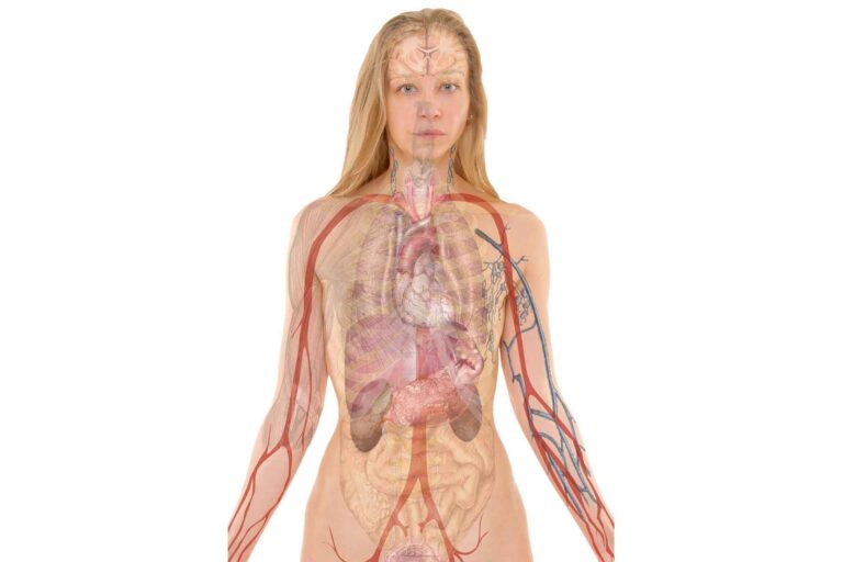 Un corpo dimenticato. Sconosciuti a noi stessi