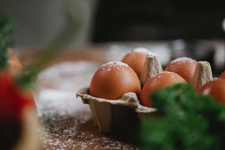 Le proteine del cervello-Turnover proteico