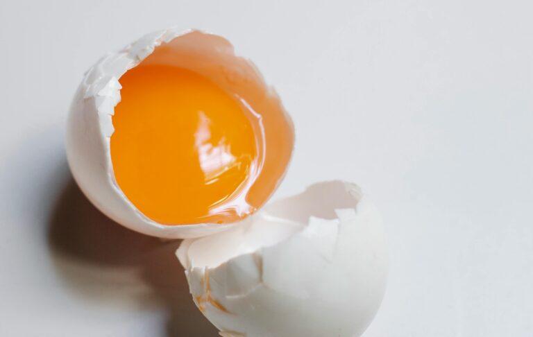 Proteine e metabolismo