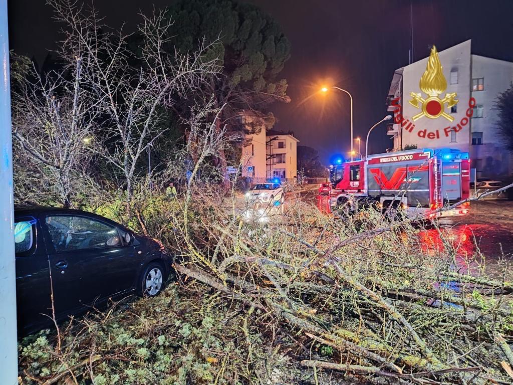 Vigili del Fuoco