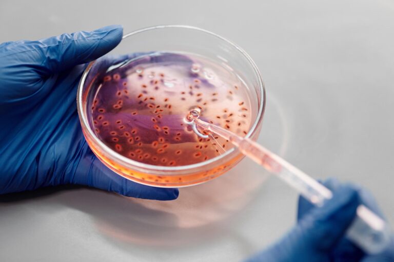 Il nostro grasso corporeo e i batteri presenti in noi e nel nostro intestino
