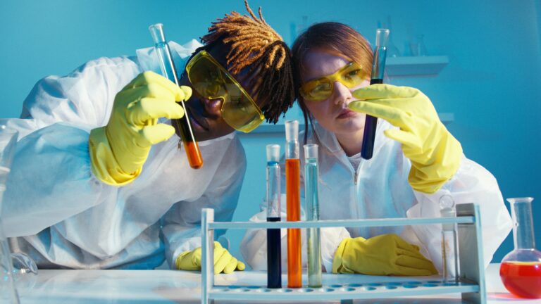 Conoscere – Intestino