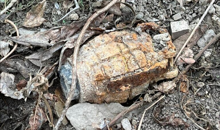 Rimozione di una bomba a mano della Seconda Guerra Mondiale
