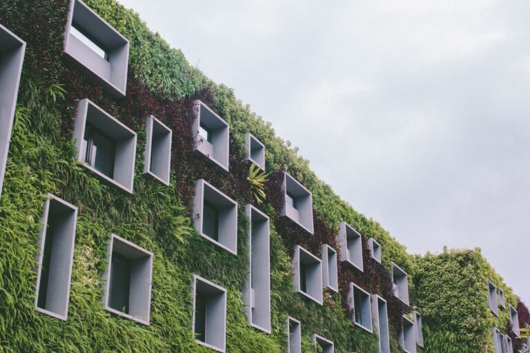 Rendere la casa più green: un approccio cruciale per la sostenibilità ambientale