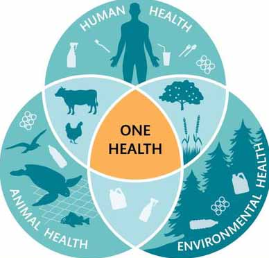 ico_One healt