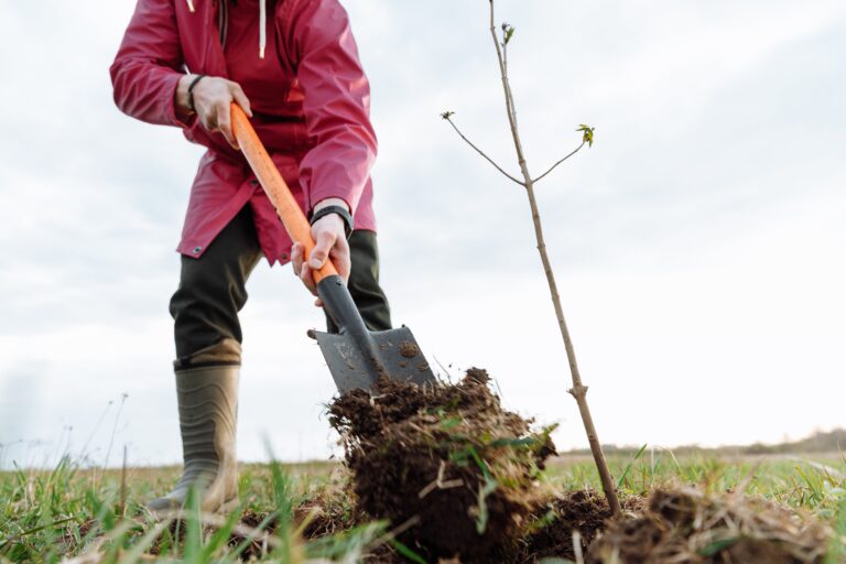 Agricoltura rigenerativa