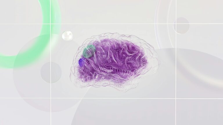 Conoscere il cervello