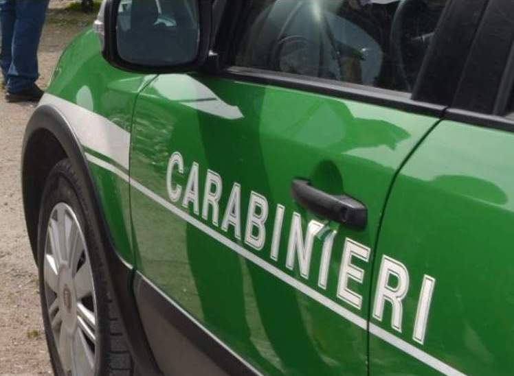 Gruppo CC Forestale di Arezzo