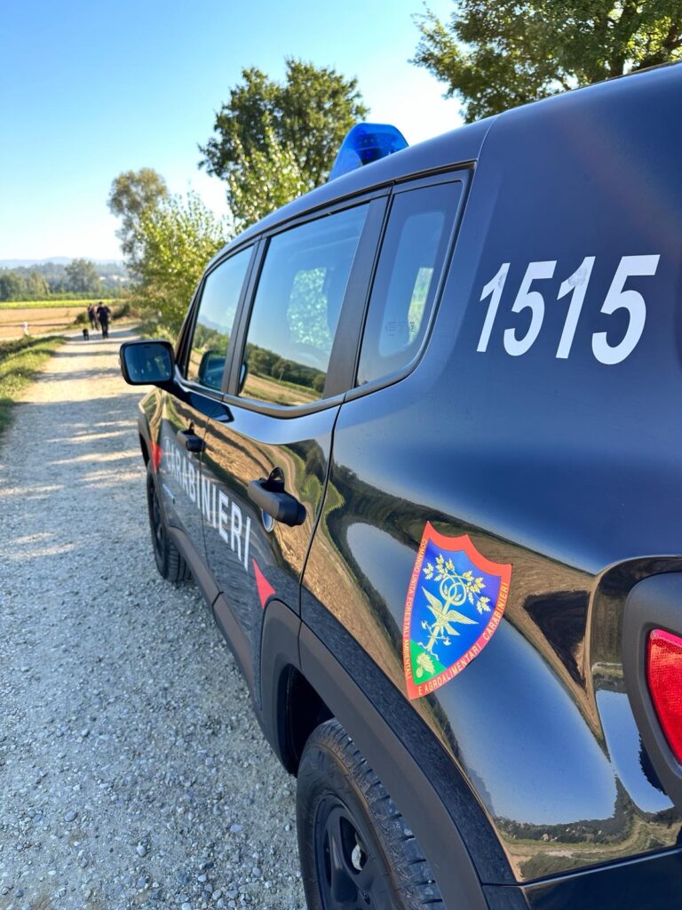 Arezzo: denunciato l’autore dell’abbandono di rifiuti sull’Alpe di Poti
