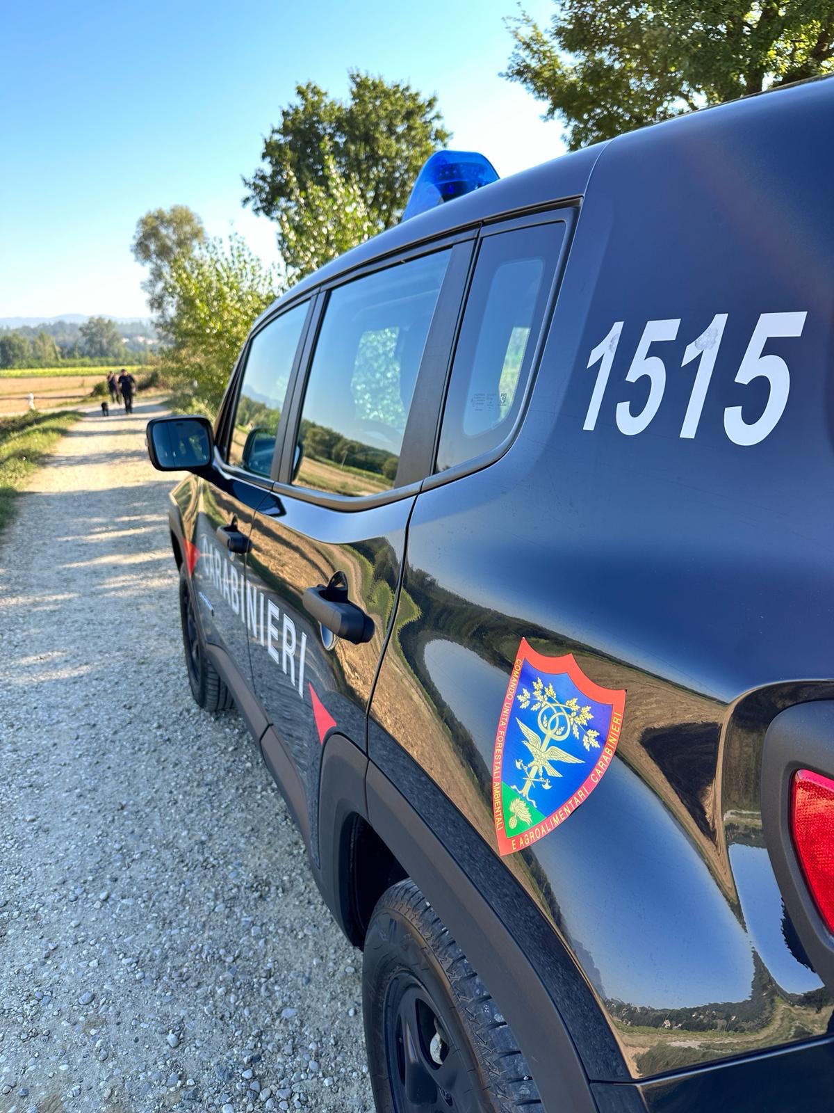 Carabinieri Forestali