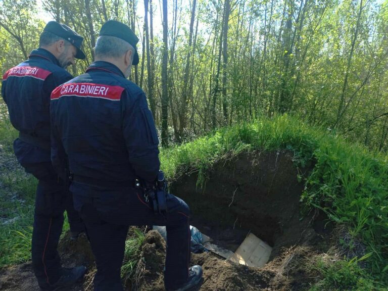 Ritrovati 76 ordigni bellici inesplosi in una località boscata di Subbiano