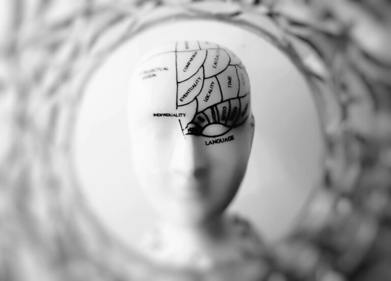 Gestire il cervello