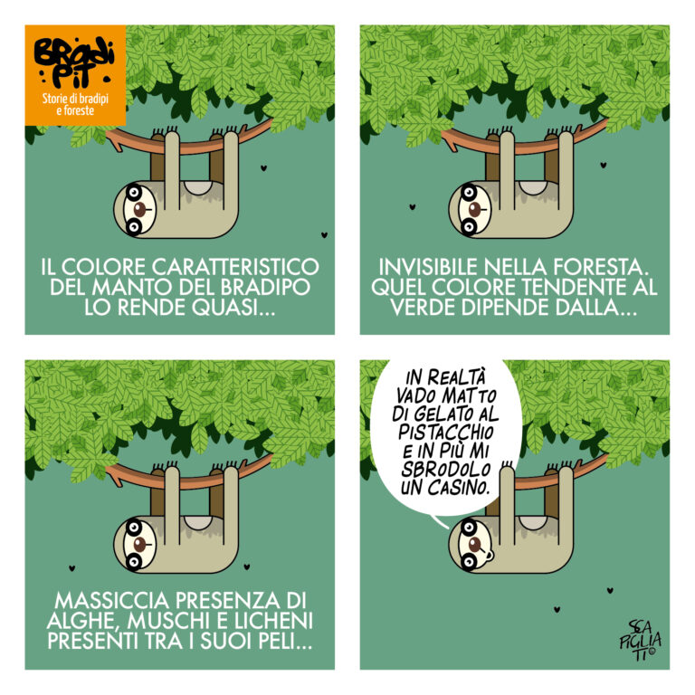 Cangiare
