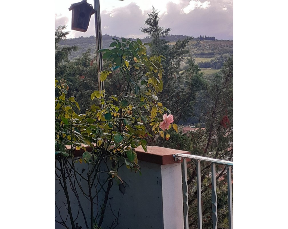 Ico_ nella mia terrazza