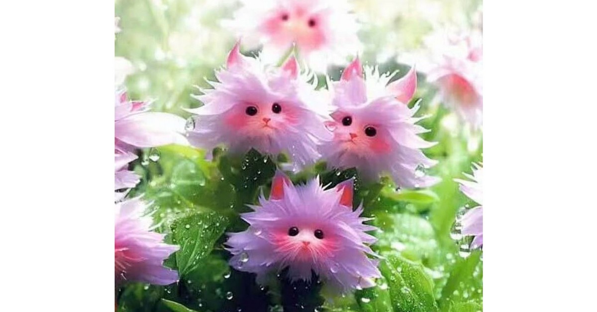 Ico_FIORI C'è IL SOLE