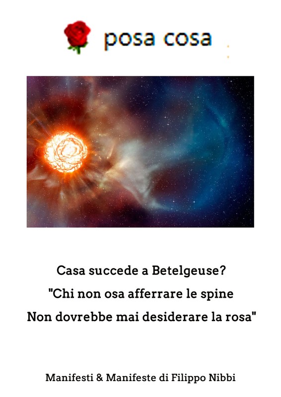 ROSA POSA COSA