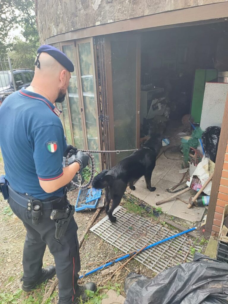 Un arresto e sette denunce per spaccio di sostanze stupefacenti tra Cortona, Monte San Savino, Lucignano e Foiano della Chiana