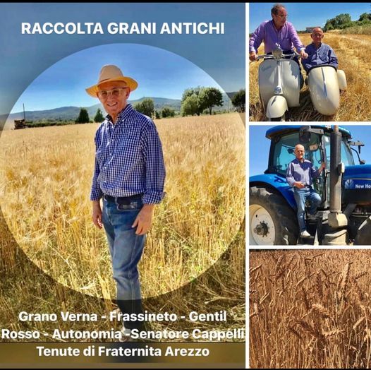 Grani antichi, agricoltura rigenerativa