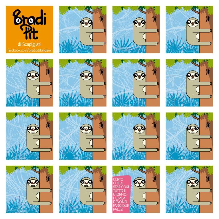 I koala