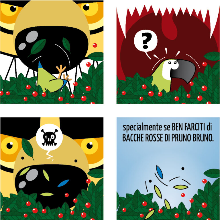 Il parrocchetto 2