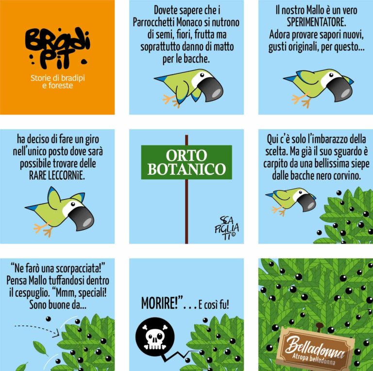 Maremma botanica