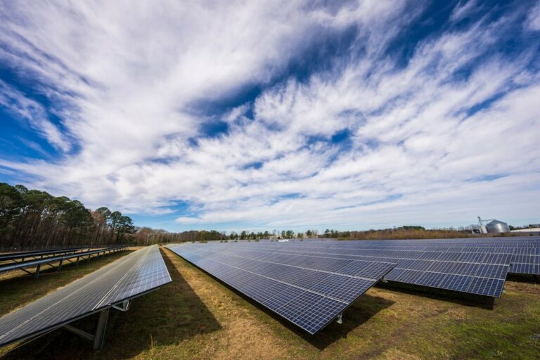 Le verità nascoste della rivoluzione verde: l’impatto ambientale delle energie rinnovabili