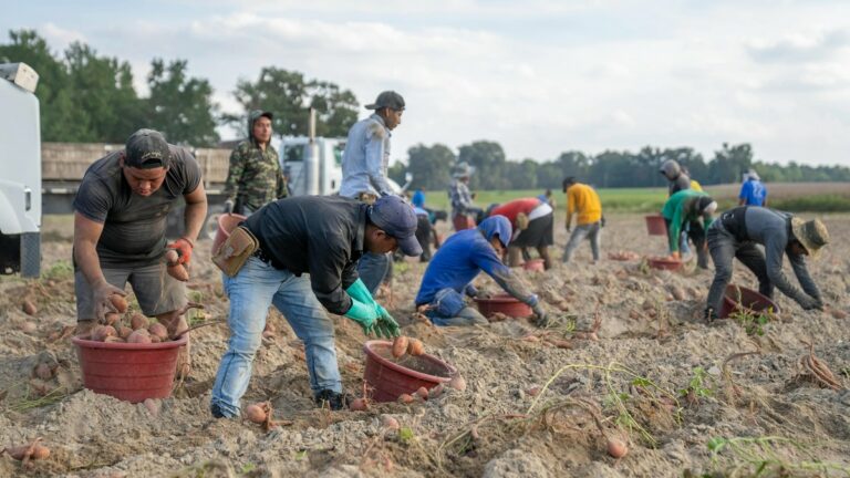 Gli sfruttati di oggi: una triste e immobile realtà